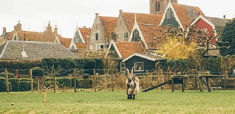Landscape of the countryside tour by bike