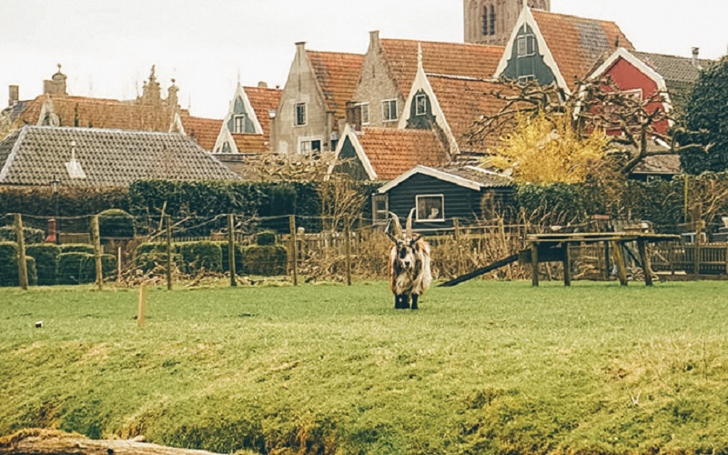 Landscape of the countryside tour by bike
