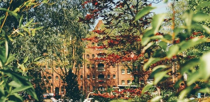 One of the many picturesque spots of Amsterdam